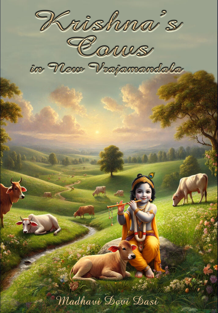 Front Cover LAVADEK EN Yellow