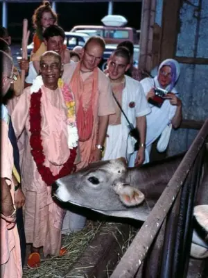 A group of people standing around a cow
AI-generated content may be incorrect.