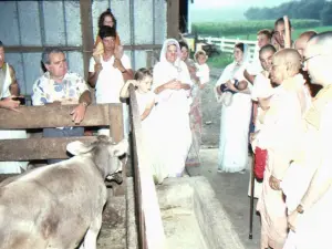 A group of people standing in a barn
AI-generated content may be incorrect.